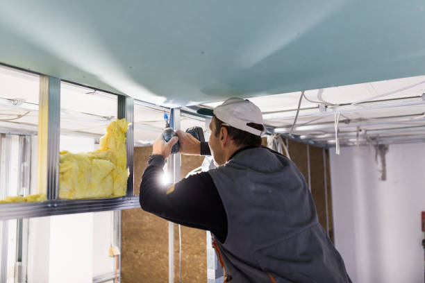 Best Energy-efficient Insulation  in Wright City, MO