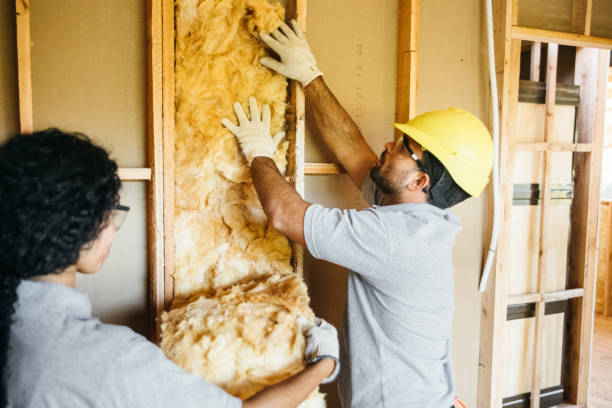 Best Insulation Removal  in Wright City, MO