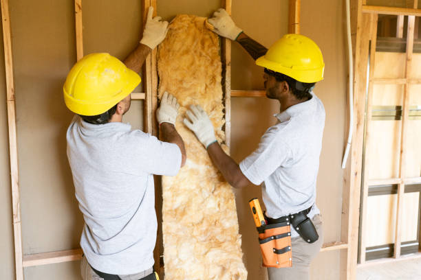Best Insulation Repair Services  in Wright City, MO