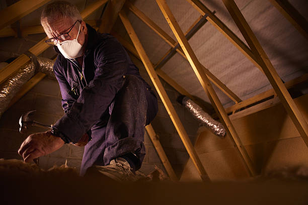 Best Crawl Space Insulation  in Wright City, MO